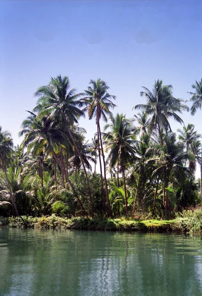 Schöner Blick Auf Die Insel Der Karibik — Stockfoto