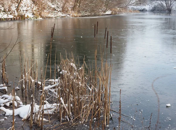 Bela Paisagem Inverno Com Neve — Fotografia de Stock