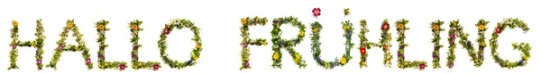 Цветы Ветви Бутоны Буква Building Немецкое Слово Hallo Fruehling Означает — стоковое фото