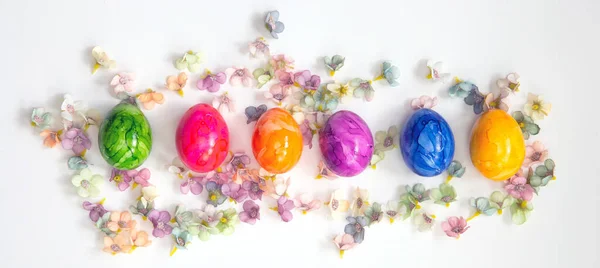 Fila Coloridos Huevos Pascua Pintados Aislados Sobre Fondo Blanco Rodeado — Foto de Stock