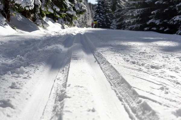 Esqui Cross Country Floresta Neve Inverno — Fotografia de Stock