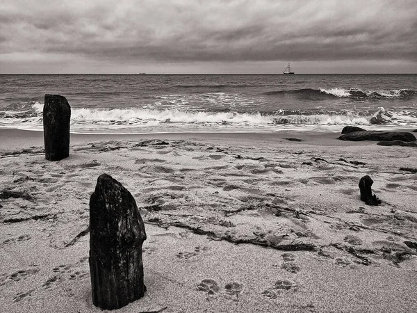 美丽海滩的黑白照片 — 图库照片