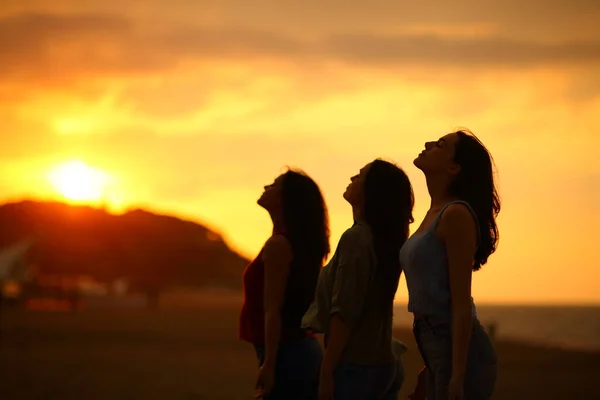 Silhouette Three Friends Breathing Fresh Air Sunset Beach — Stock Photo, Image