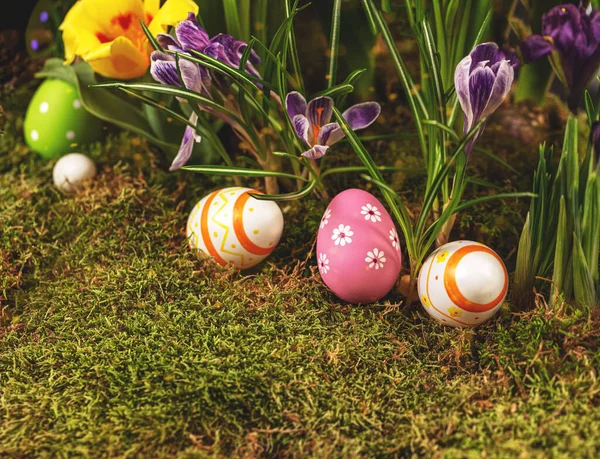 Uova Pasqua Nell Erba — Foto Stock