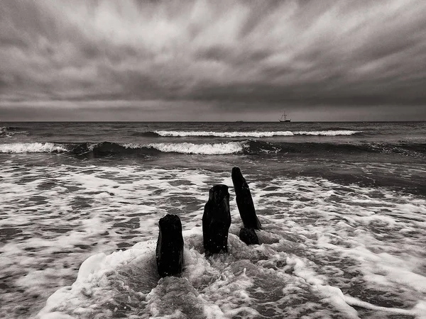 Foto Blanco Negro Hermoso Mar —  Fotos de Stock