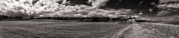 Prachtig Landschap Met Een Veld Van Tarwe Een Bewolkte Lucht — Stockfoto