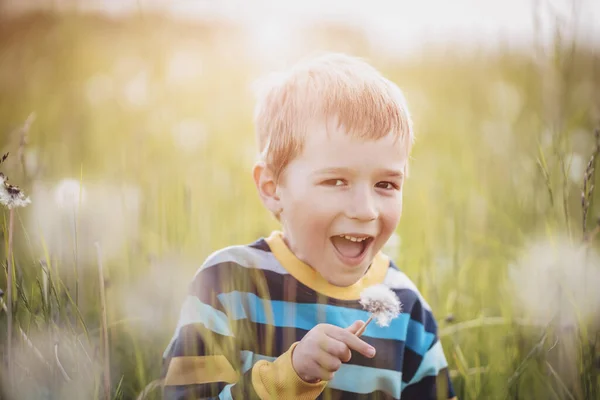 Happy Boy Standing Field Dandelions Child Outdoors Nature — Stock Photo, Image