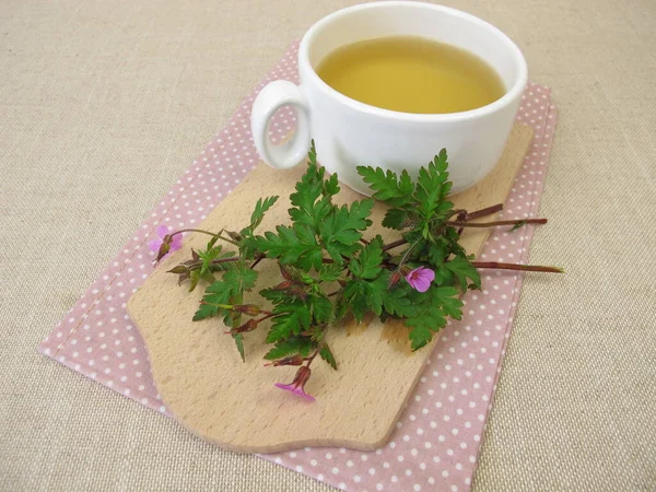 Herbal Tea Roberts Geranium Cranesbill Geranium Robertianum — Stock Photo, Image