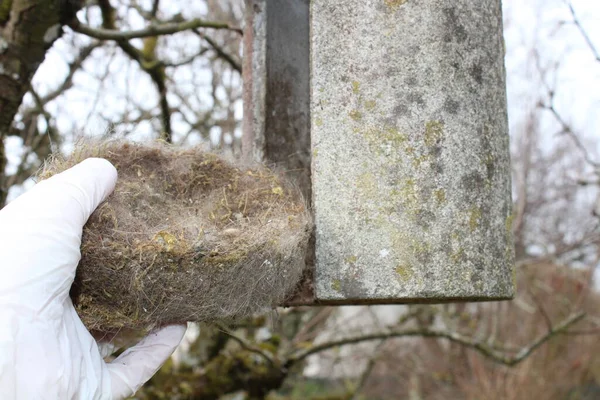 Een Close Schot Van Een Hand Van Een Man Die — Stockfoto