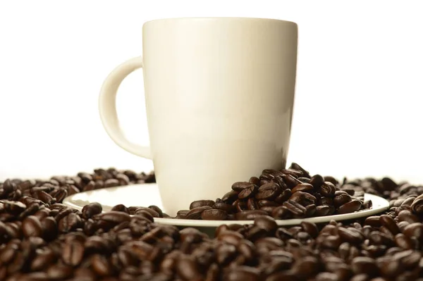白い背景の上に白いカップとソーサーを囲むコーヒー豆の豊富な山 — ストック写真