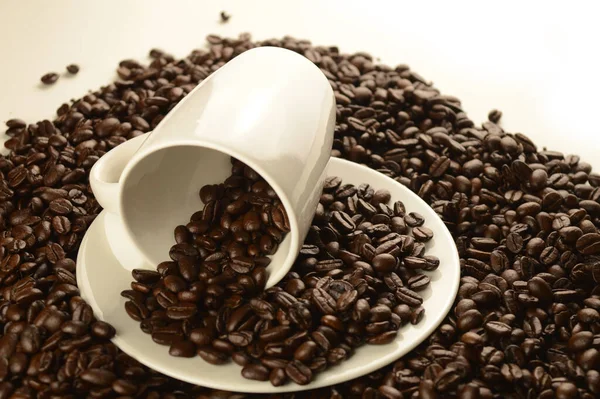Abundant Pile Coffee Beans Surrounds White Cup Saucer Clean White — Stock Photo, Image