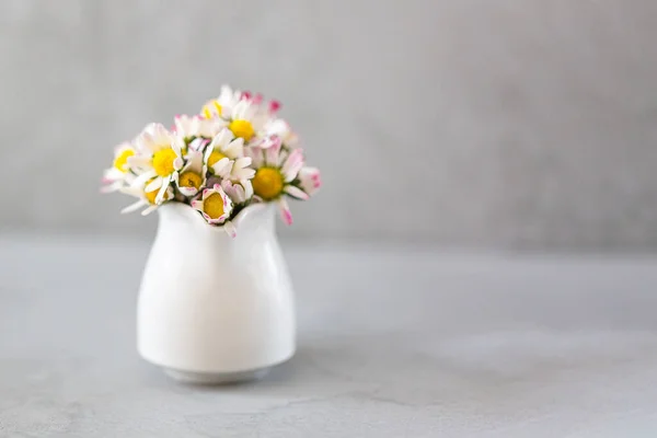 Gänseblümchen Blühen Einer Vase Auf Grauem Hintergrund Mit Kopierraum Minimalistischer — Stockfoto