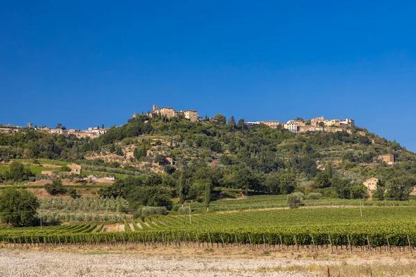 Los Viñedos Más Famosos Toscana Cerca Ciudad Montalcino Italia — Foto de Stock