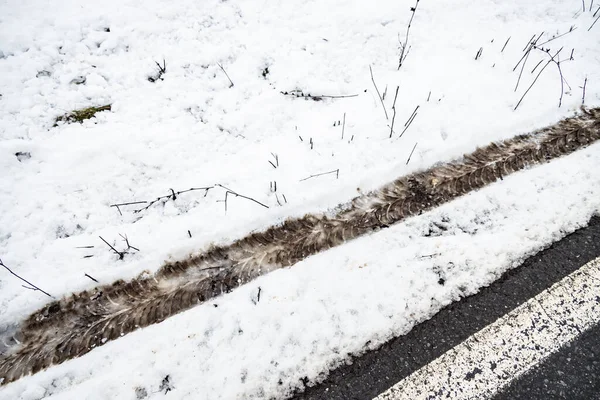 冬季街上的轮胎印和白斑 — 图库照片