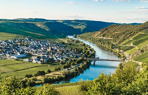 Belle Vallée Moselle Avec Vue Sur Trittenheim Allemagne — Photo