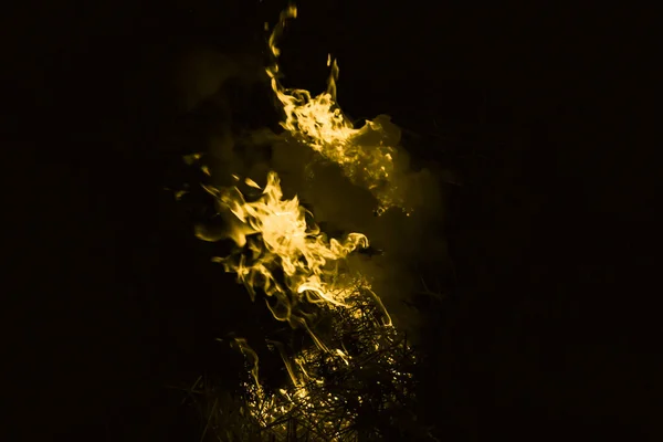 Flamme Jaune Feu Brûlage Paille Riz Nuit — Photo