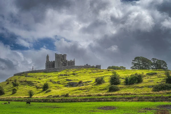 Beautiful Rock Cashel Castle Cattle Pastzing Field Dramatic Dark Storm — стоковое фото