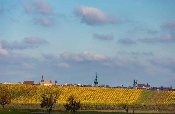 Herfstwijngaard Kravi Hora Regio Znojmo Zuid Bohemen Tsjechië — Stockfoto