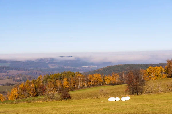 Typical Sumava Autumn Landscape Southern Bohemia Czech Republic — Stock Photo, Image