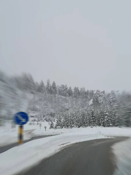 Estrada Inverno Floresta — Fotografia de Stock