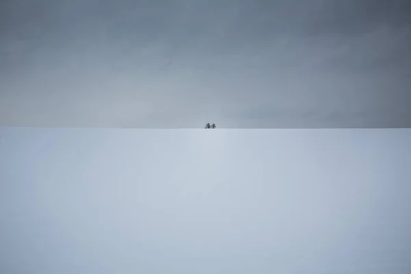 Árvores Neve País Das Maravilhas Inverno Com Campos Cobertos Neve — Fotografia de Stock