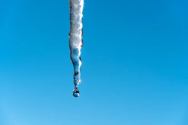 Jégcsapok Olvadnak Csepegnek Tavasszal Kék Felé Meteorológia Globális Felmelegedés Olvadó — Stock Fotó