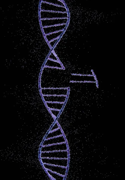 Molecola Catena Del Dna Illustrazione — Foto Stock