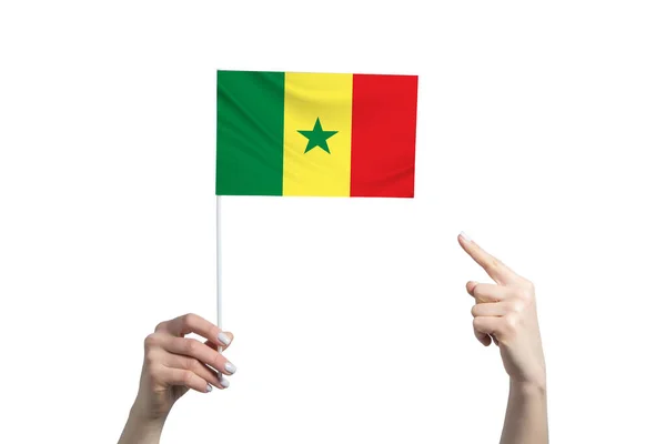 Eine Schöne Weibliche Hand Hält Eine Senegalesische Flagge Der Sie — Stockfoto