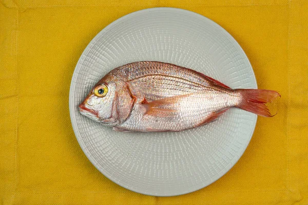 Frischer Fisch Auf Einem Teller — Stockfoto