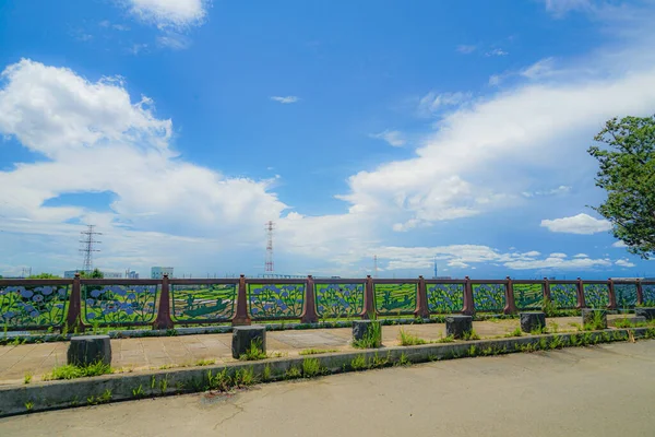 Matsudo Schert Vom Land Drehort Präfektur Chiba — Stockfoto