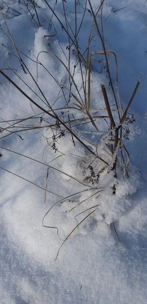 Schöne Winterlandschaft Mit Schnee — Stockfoto
