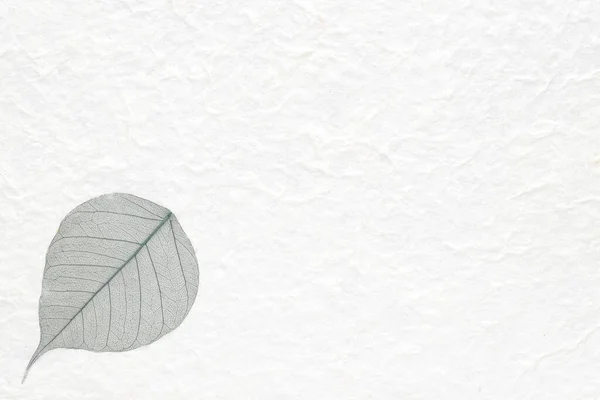 Handmade Tradizionale Giapponese Carta Riso Texture Sfondo — Foto Stock