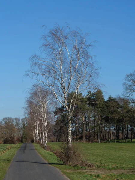 Wandelen Buurt Van Vreden Westfalen — Stockfoto