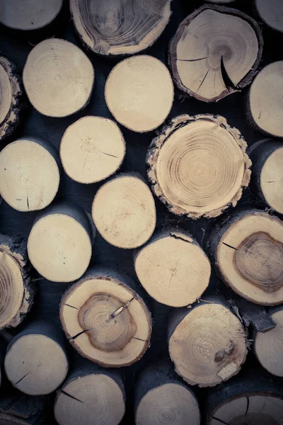 Arka Plan Ahşap Yakacak Odun Halkalar — Stok fotoğraf