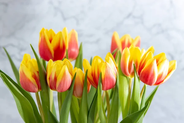 Bukiet Żółtymi Czerwonymi Tulipanami Szarym Marmurkowym Tle — Zdjęcie stockowe