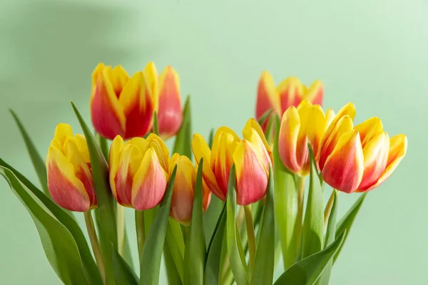 Ramo Con Tulipanes Rojos Amarillos Sobre Fondo Verde Claro —  Fotos de Stock