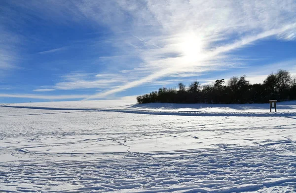 Paisaje Invernal Con Árboles Cubiertos Nieve — Foto de Stock