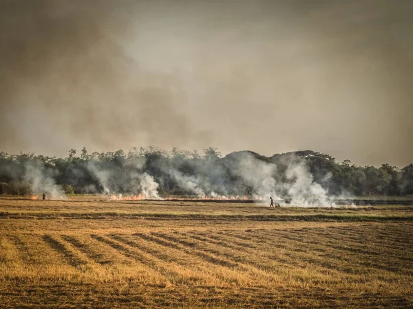 Slash-and-burn agriculture. Fire-fallow cultivation. Fire-fallow cultivation. AIR QUALITY POLICY .clean air problem. Air pollution PM2.5.Open agricultural burning | Climate & Clean Air Coalition