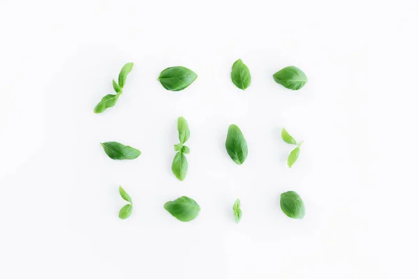 白い背景に緑のバジルとミントの葉でフラットレイアウト 健康的な食事と化粧品の概念 高品質の写真 — ストック写真