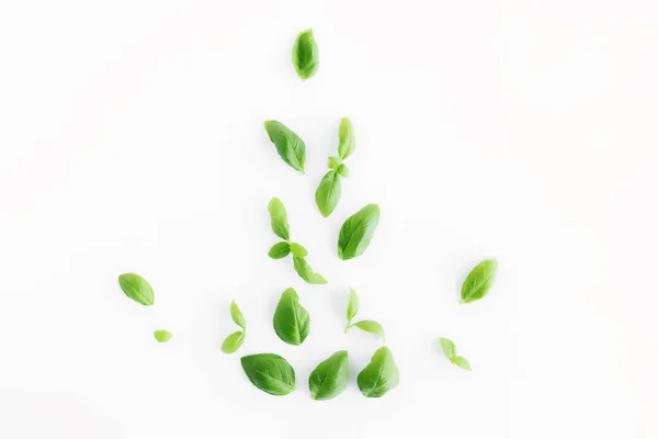 白い背景に緑のバジルとミントの葉でフラットレイアウト 健康的な食事と化粧品の概念 高品質の写真 — ストック写真
