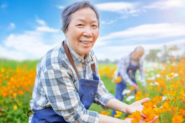 Feliz Asiática Senior Pareja Trabajando Jardín Mañana — Foto de Stock