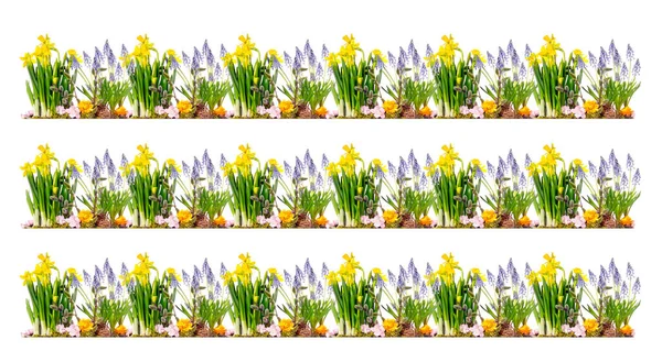Grünes Gras Und Frühlingsblumen Vereinzelt Auf Weißem Hintergrund Hochwertiges Foto — Stockfoto