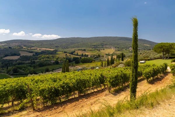 Viñedos Región Chianti Toscana Italia — Foto de Stock