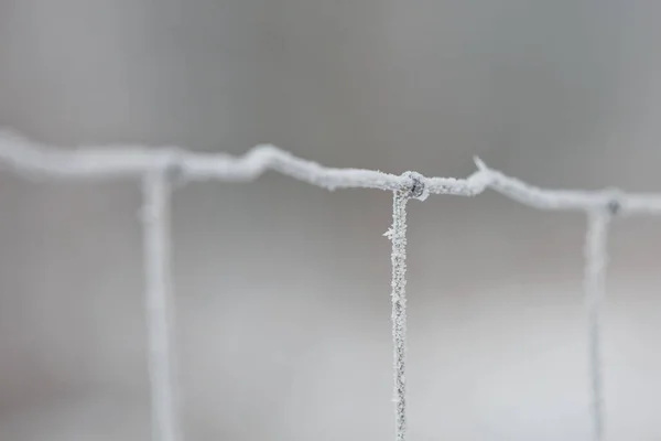 Frost Auf Dem Eisengitter Schöne Winter Konzept Hintergrund Nahaufnahme Eines — Stockfoto