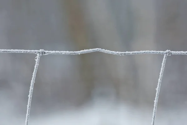 Geada Grelha Ferro Macro Belo Fundo Conceito Inverno Close Uma — Fotografia de Stock