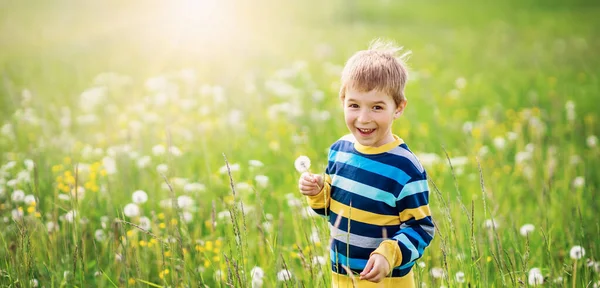 Gelukkige Lachende Jongen Die Het Prachtige Groene Veld Staat Met — Stockfoto