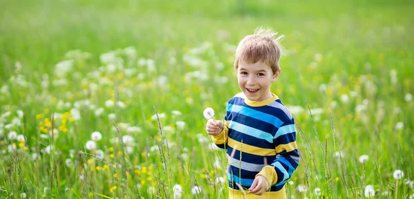 Happy Smiling Boy Standing Beautiful Green Field Dandelions Child Outdoors Royalty Free Stock Photos