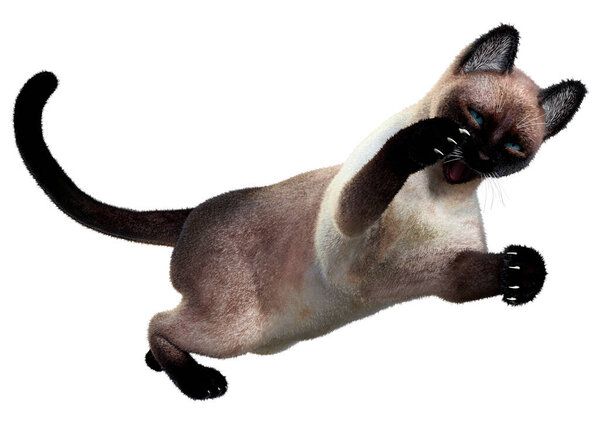 白地に隔離された同じ猫の3Dレンダリング — ストック写真