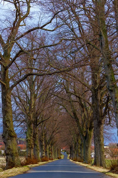 Strada Nel Parco — Foto Stock