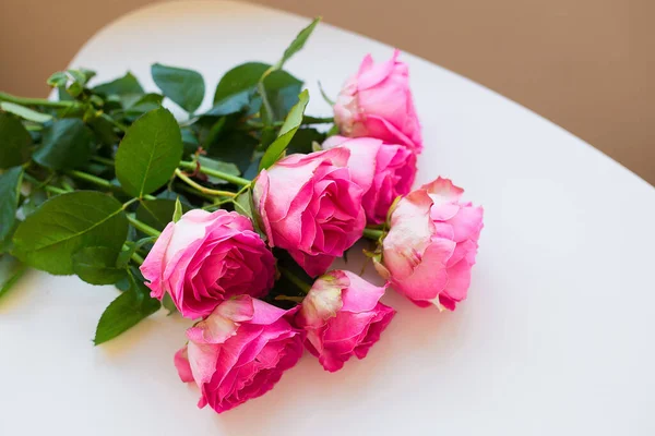 Rosas Rosadas Sobre Fondo Blanco —  Fotos de Stock